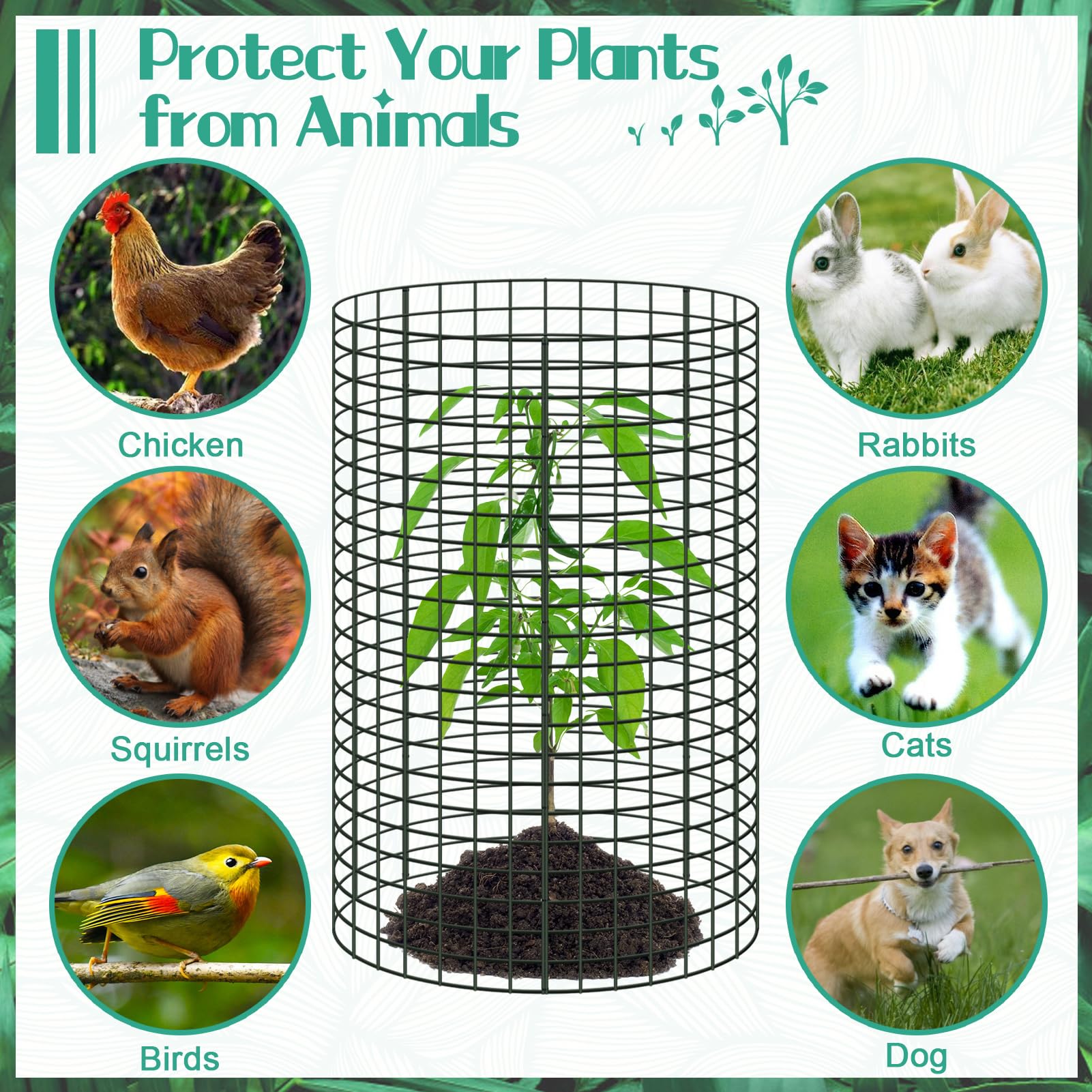 UJG wire plant cage guarding roses and vegetables from animals
