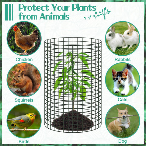 UJG wire plant cage guarding roses and vegetables from animals