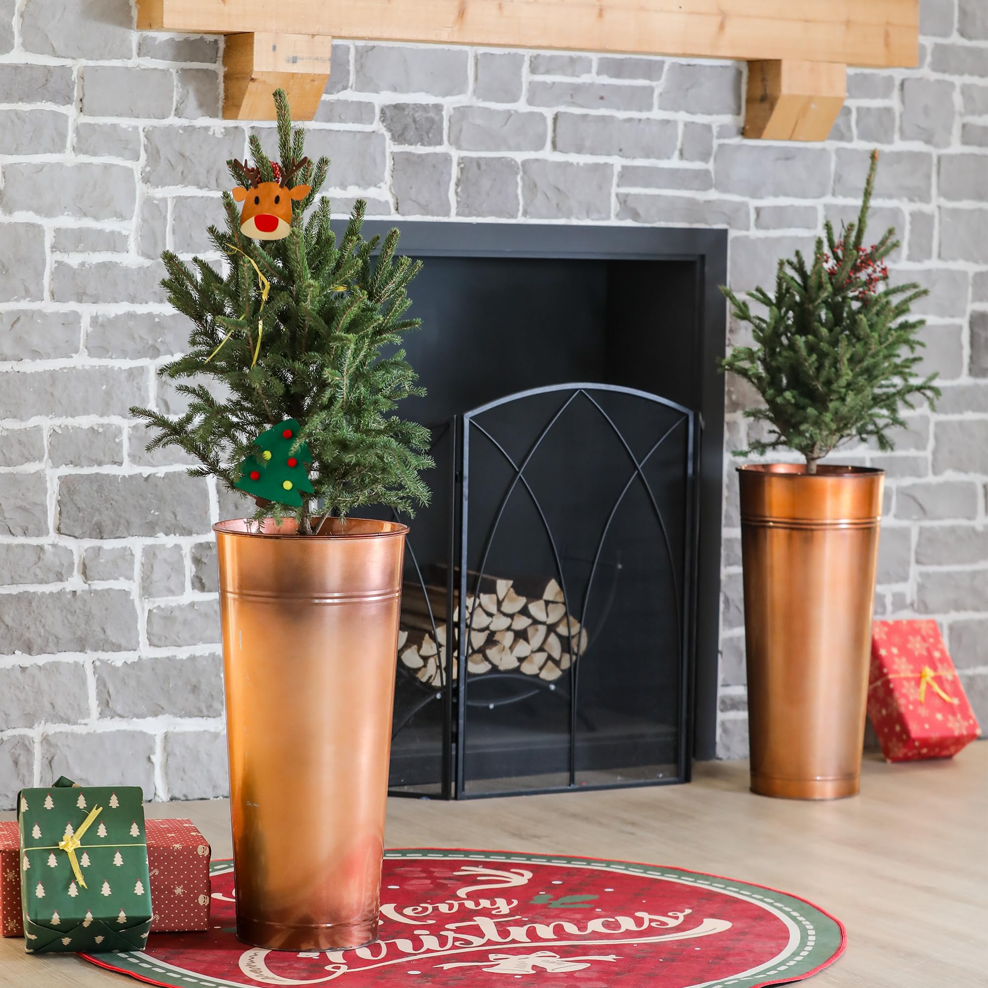 UltiTeque copper planter vertical accent for snake plant or dracaena.