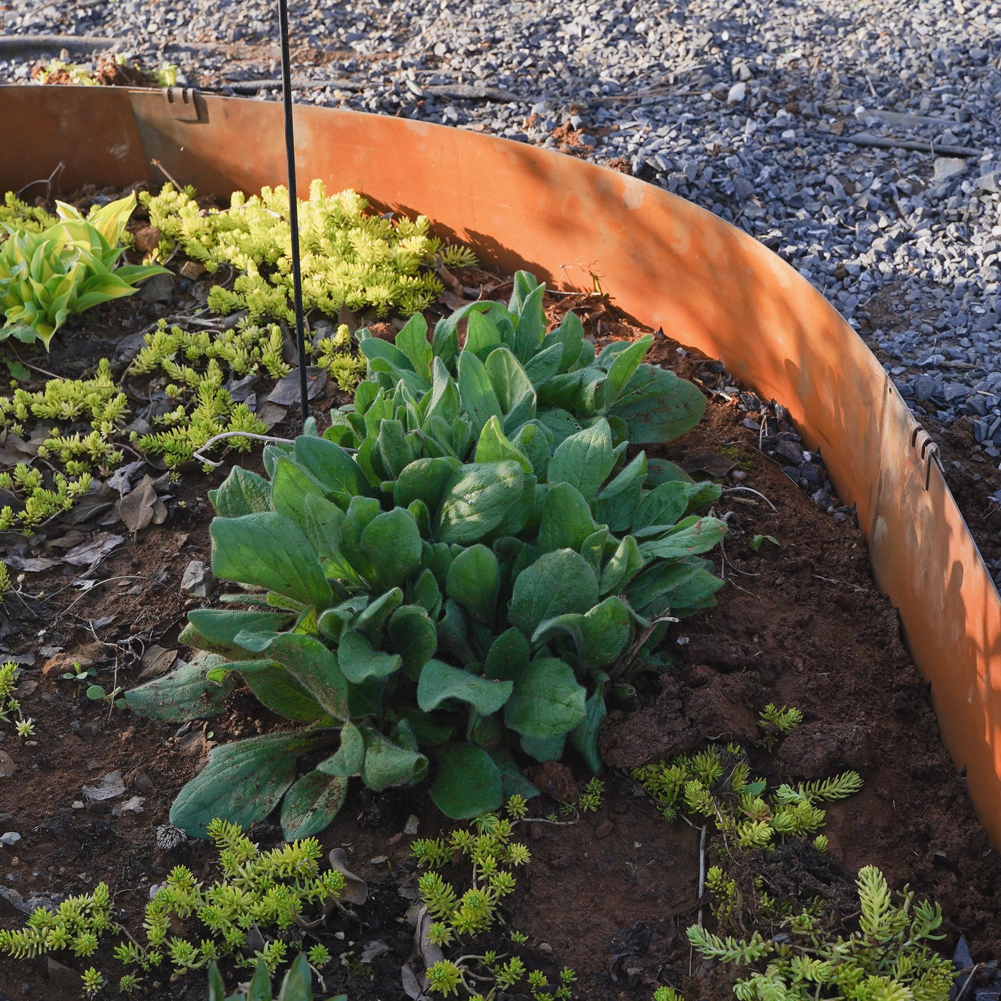 UltiTeque versatile landscape stakes for edging, weed barriers, and ground cover
