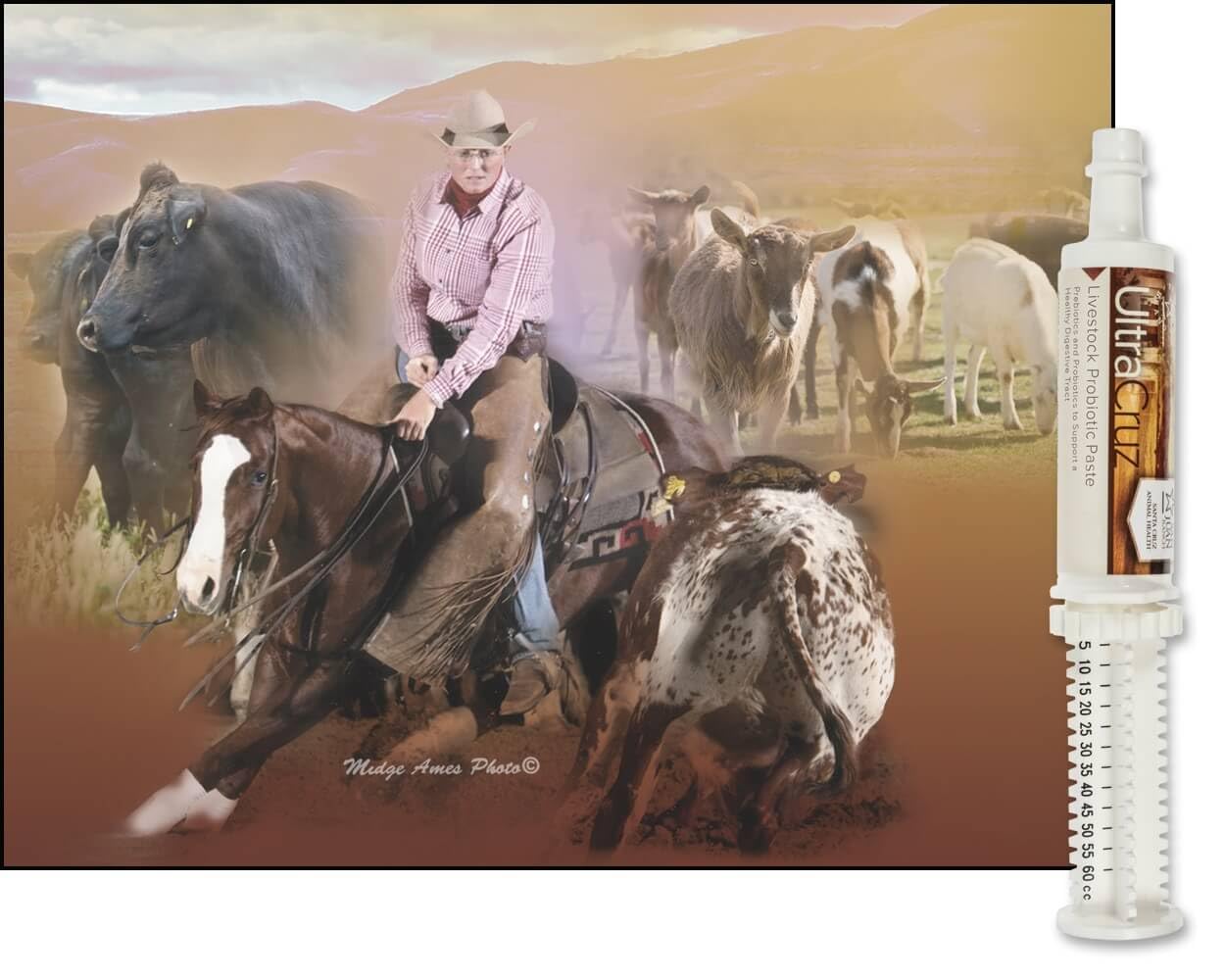 UltraCruz probiotic paste during diet changes; promotes comfortable digestion.