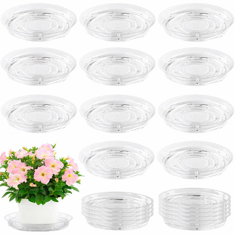 UltraOutlet 8-inch clear plant saucer catching drainage water for indoor pots