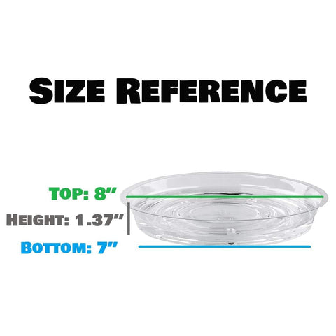 UltraOutlet clear saucer doubles as small-item tray for desk or windowsill
