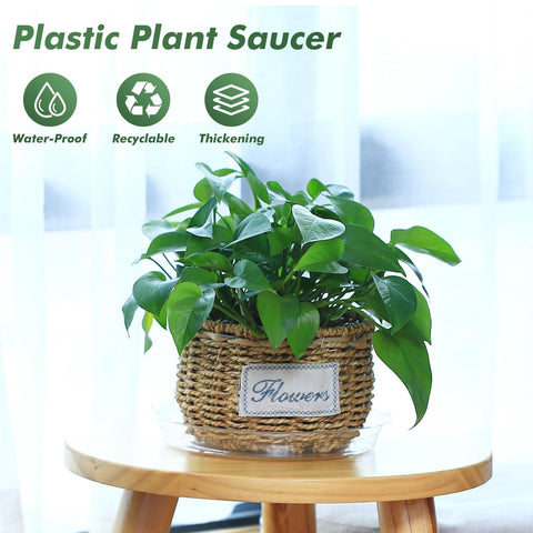 UltraOutlet 4-inch clear plant saucer in indoor setting keeps surfaces clean.