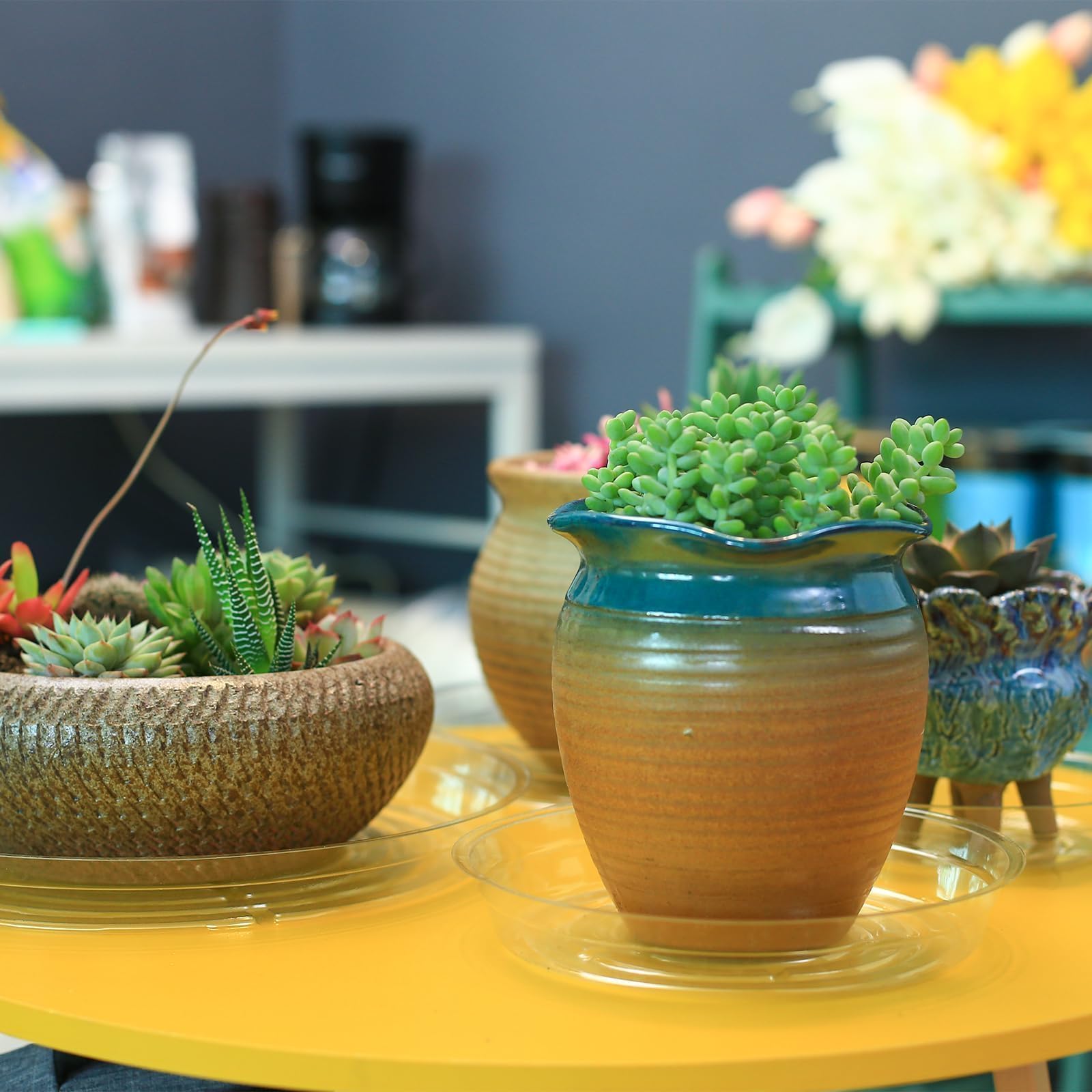UltraOutlet recyclable plastic plant saucer for indoor use.