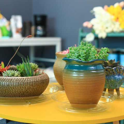 UltraOutlet recyclable plastic plant saucer for indoor use.