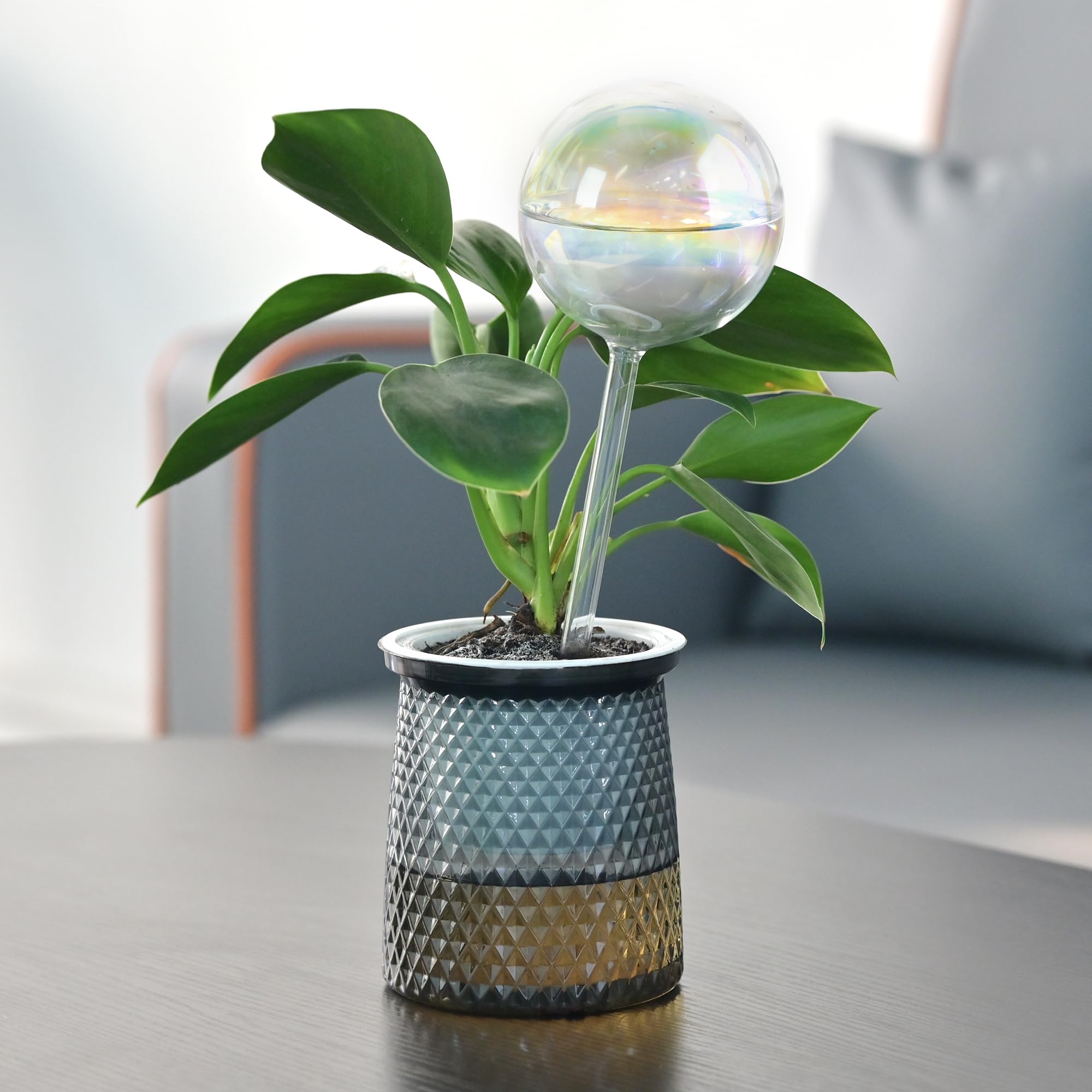 Perfect for vacation care or everyday plant routines.