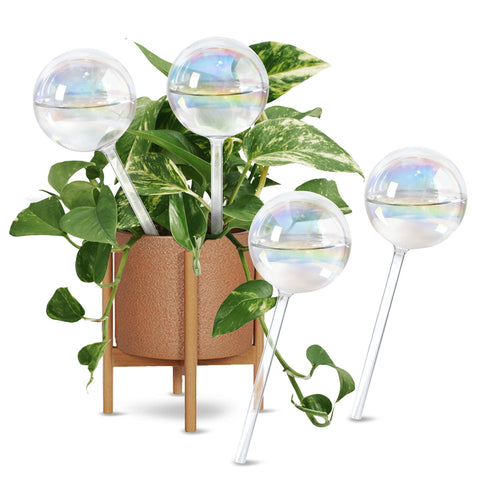 ULTRNICC self-watering globes glow, delivering steady hydration to medium plants.