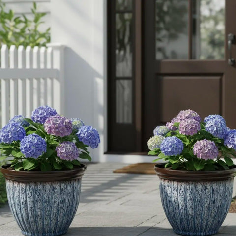 Ultym gift-worthy planters bring greenery and style to any space.