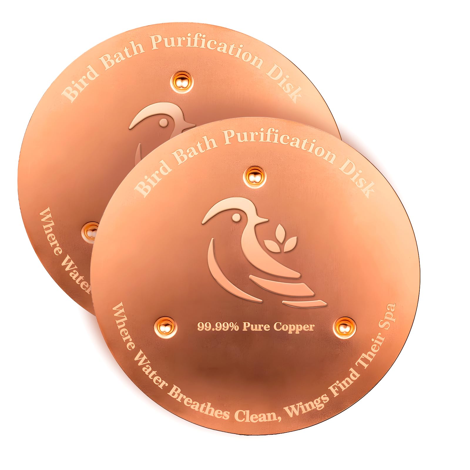 Ulycon bird bath purification disk 2-pack keeps water cleaner for birds.