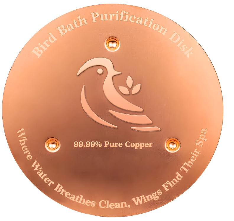 Ulycon bird bath copper disk 0.6mm in water with clean lines and shine