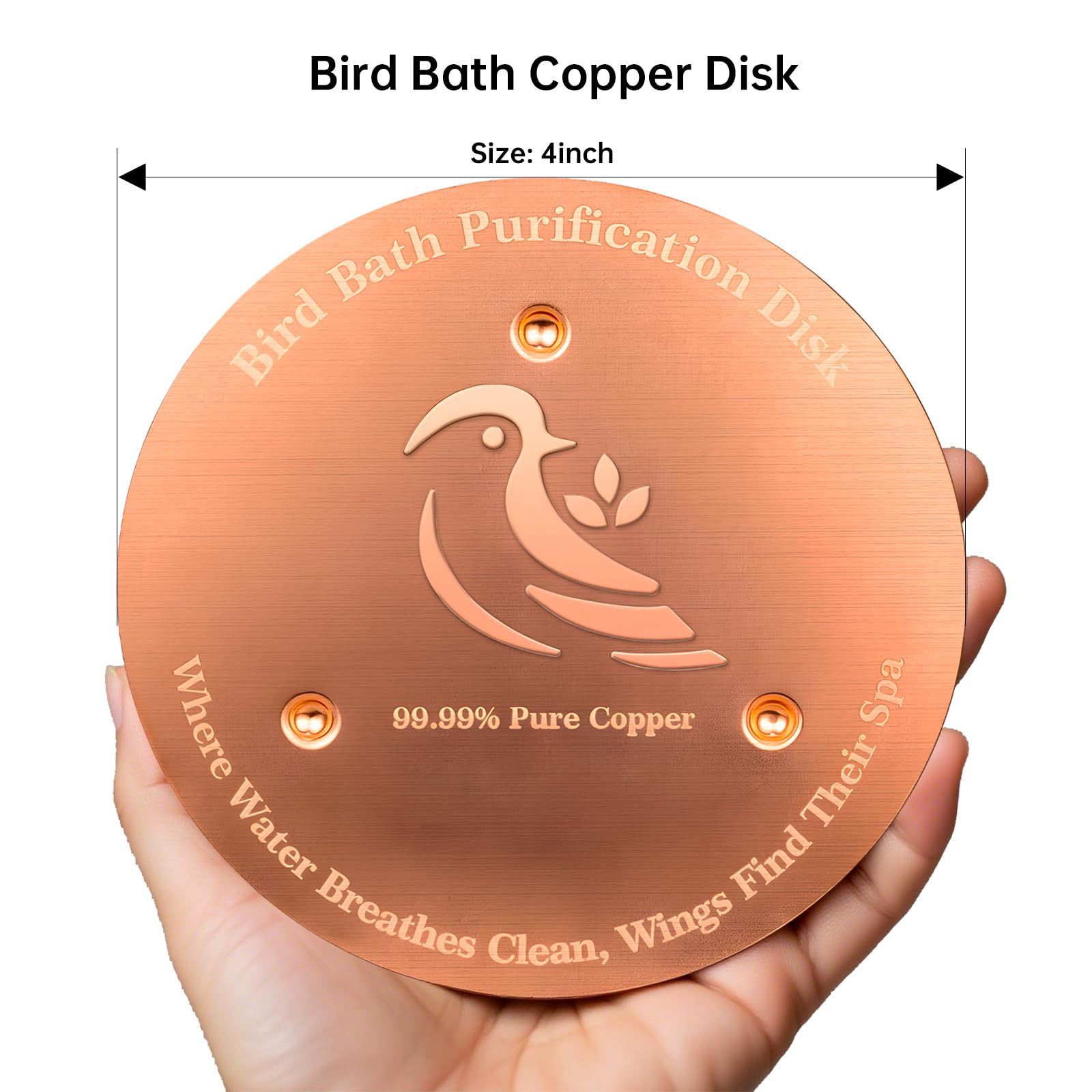 Ulycon bird bath copper disk easy to place in a bowl