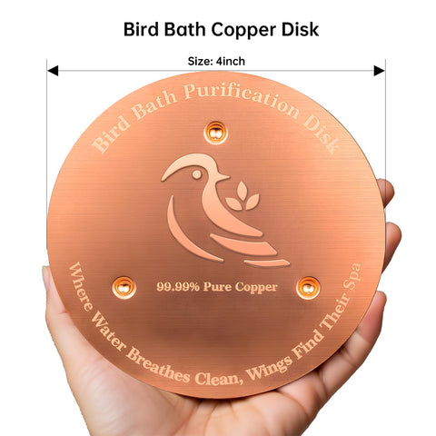 Ulycon birdwatcher-friendly option creates a safer backyard for visiting birds.