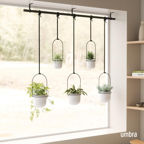 Umbra Triflora adjustable cords offer flexible plant placement for ideal spacing.