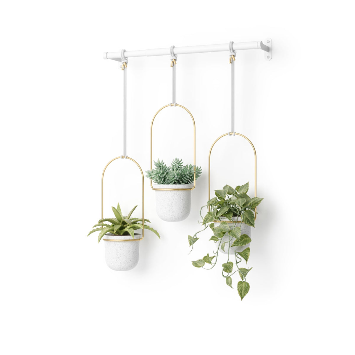 Umbra Triflora hanging planter with extendable rod displaying herbs in a bright window.