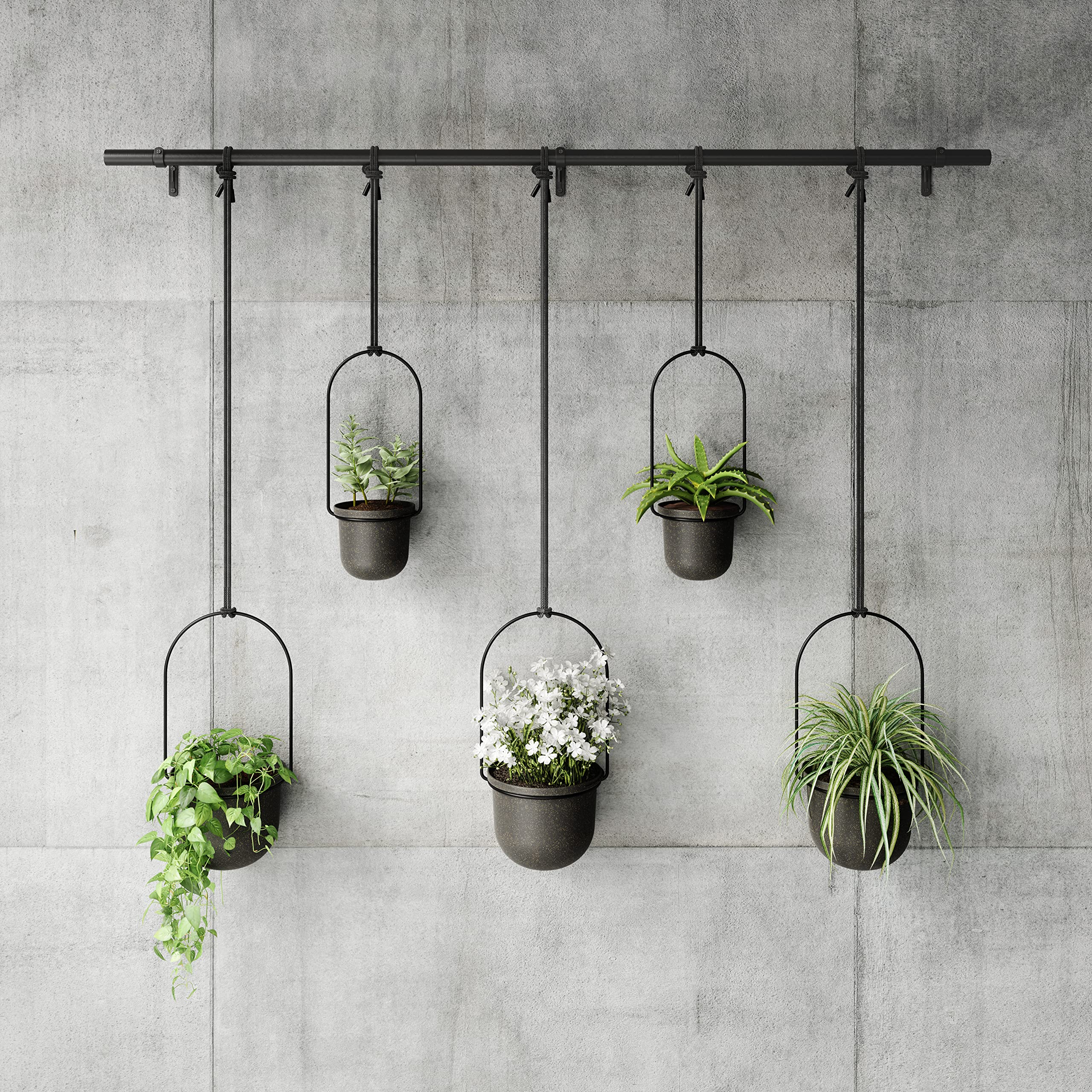 Umbra Triflora fully extended shows a tall space-saving window garden