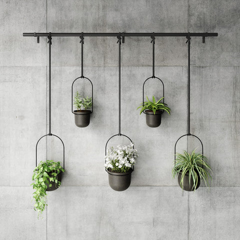 Umbra Triflora fully extended shows a tall space-saving window garden