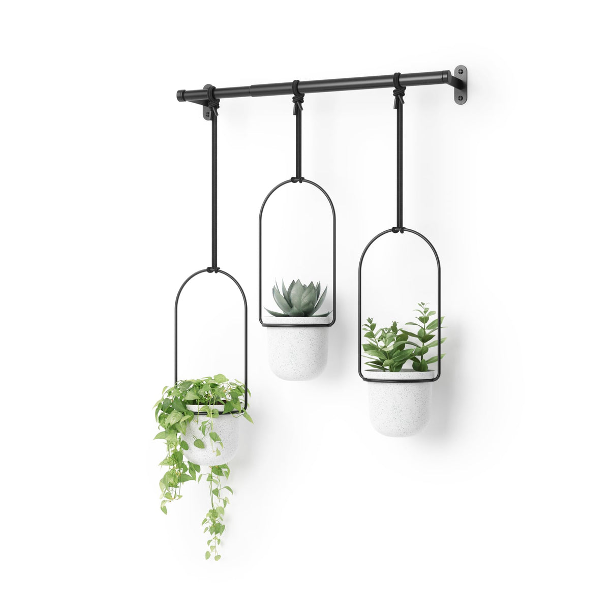 Umbra Triflora hanging planter window display for easy herb access