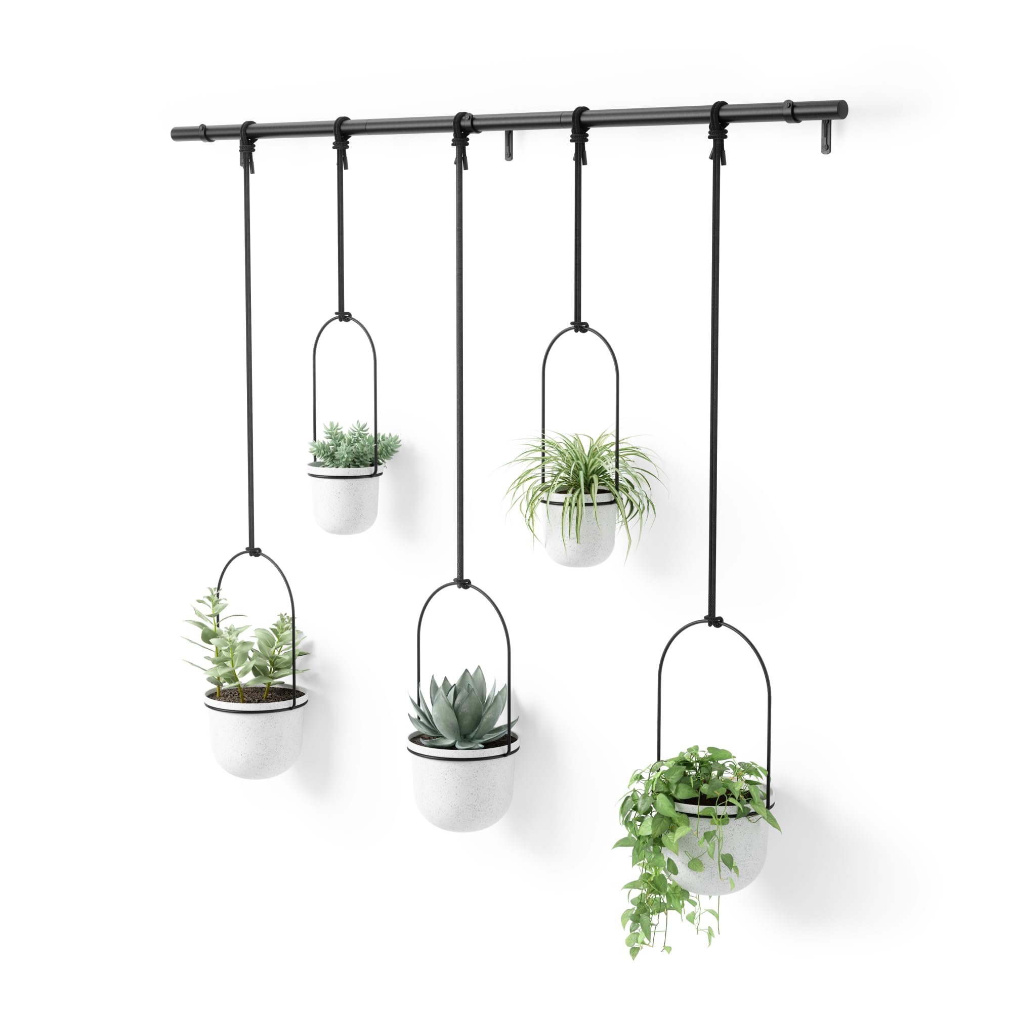 Umbra Triflora hanging planter on a window rod shows space-saving indoor greenery.