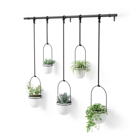 Umbra Triflora hanging planter on a window rod shows space-saving indoor greenery.