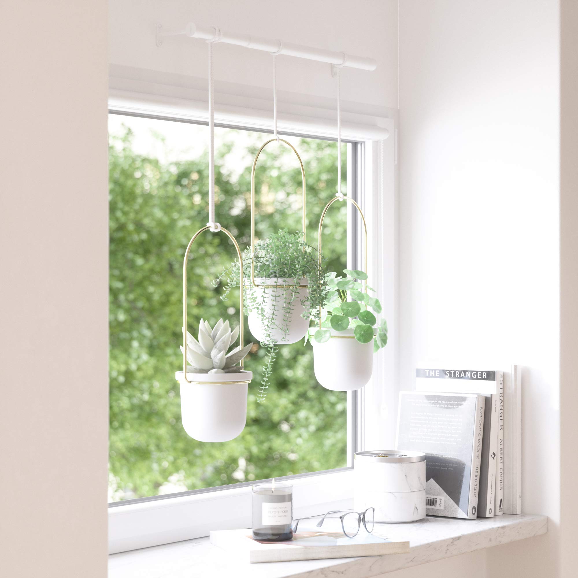 Umbra Triflora herb and succulent display on kitchen window sill.