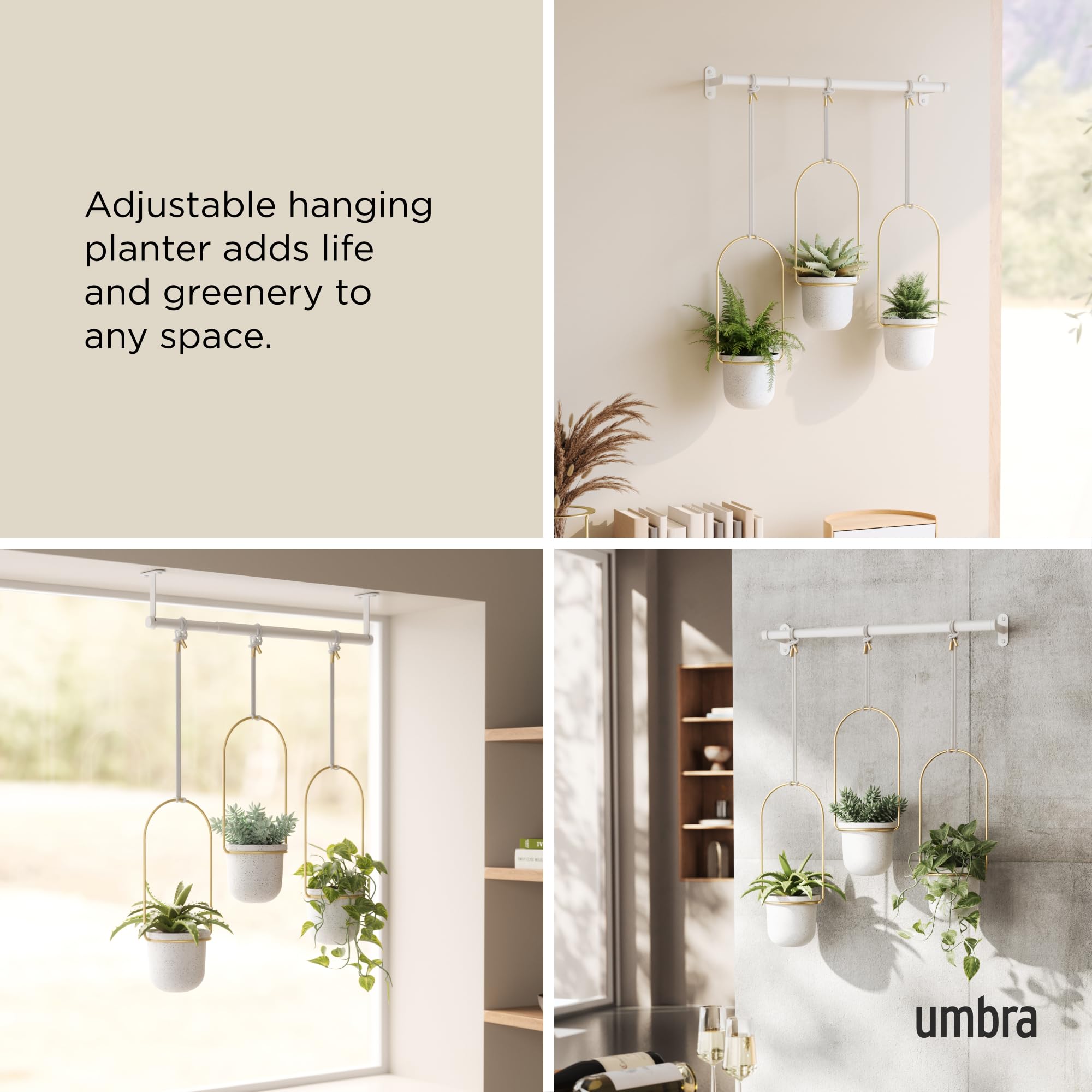 Umbra Triflora lightweight recycled polypropylene planters brighten a window display.