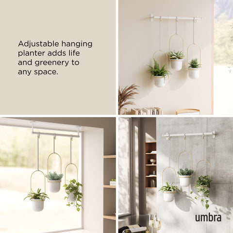 Umbra Triflora lightweight recycled polypropylene planters brighten a window display.