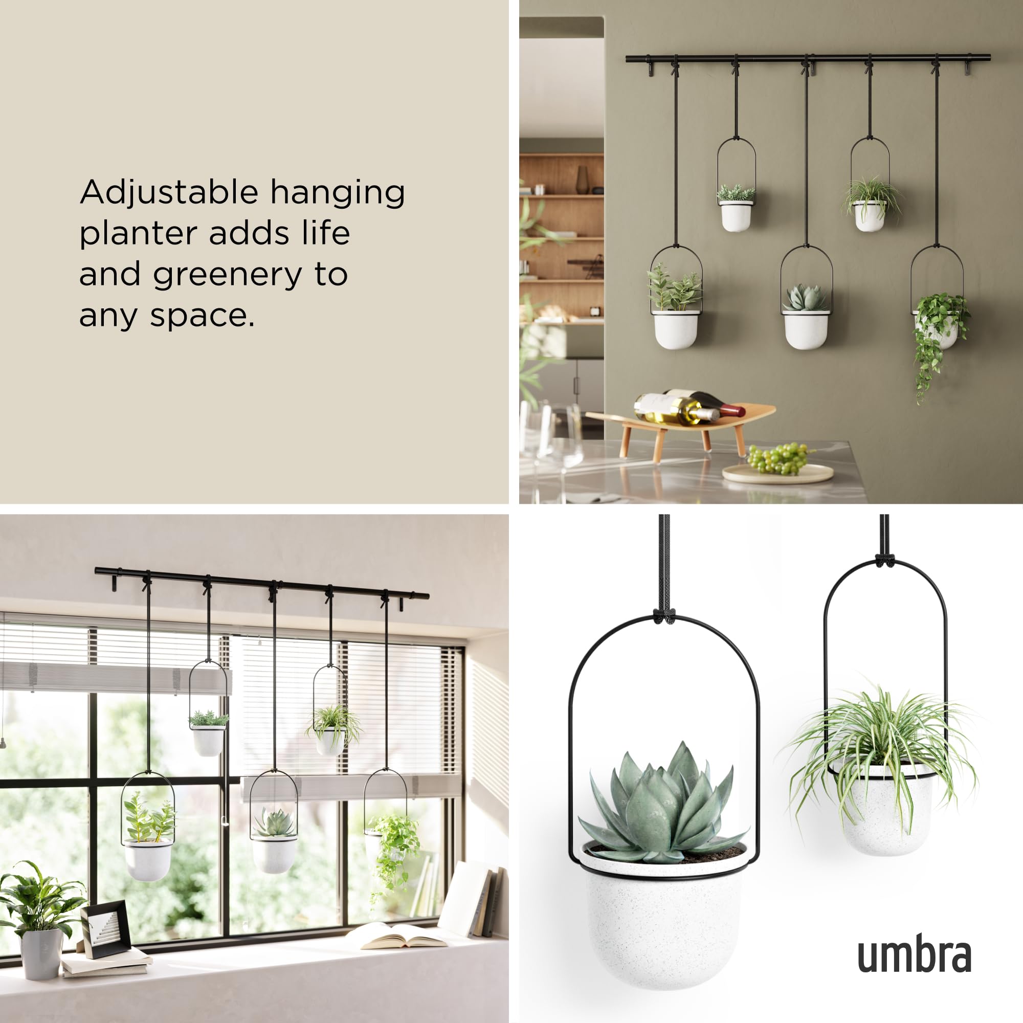 Umbra Triflora standard pots 3 and 6 inch ensure easy potting and watering.