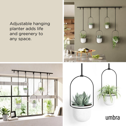 Umbra Triflora standard pots 3 and 6 inch ensure easy potting and watering.