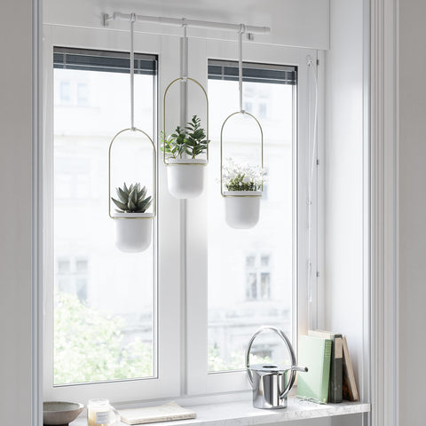Umbra Triflora includes mounting hardware for quick wall or ceiling setup.