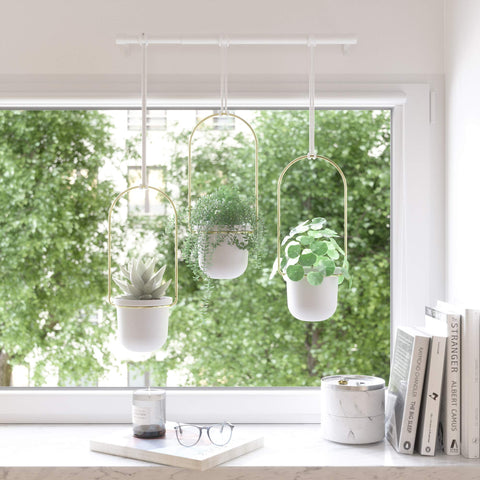 Umbra Triflora white brass finish adds modern decor appeal.