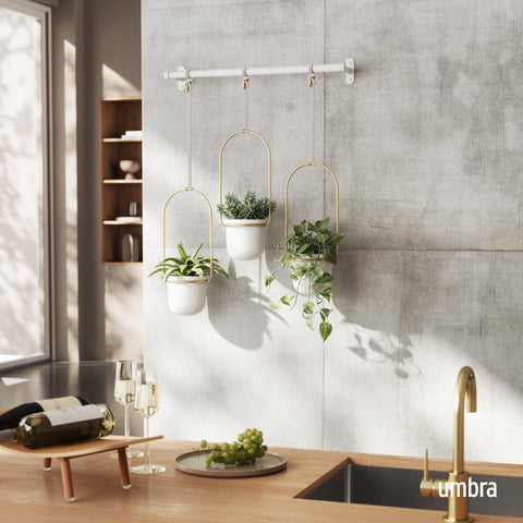 Umbra Triflora window display showcasing an indoor herb garden.