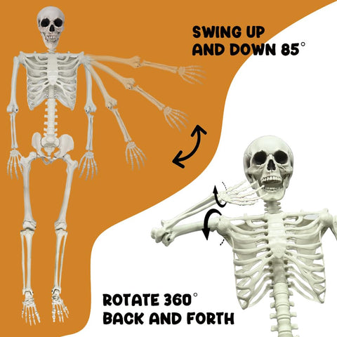 UMEELR high-quality plastic finish creates a realistic bone look.