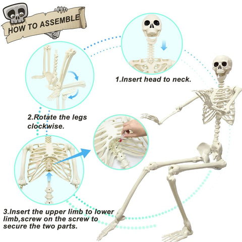 UMEELR skeleton with movable joints for flexible posing