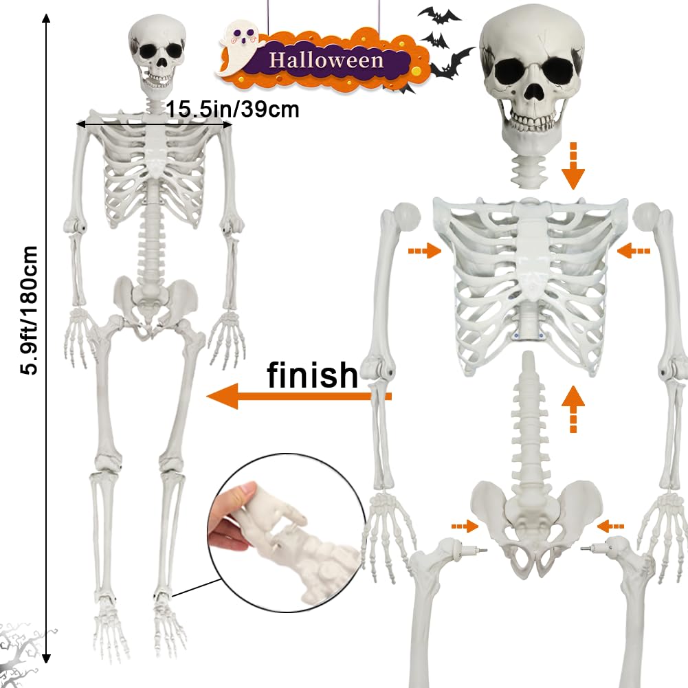 UMEELR skeleton with movable joints allows lifelike posing for Halloween.