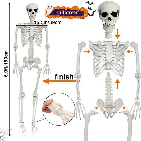 UMEELR skeleton with movable joints allows lifelike posing for Halloween.