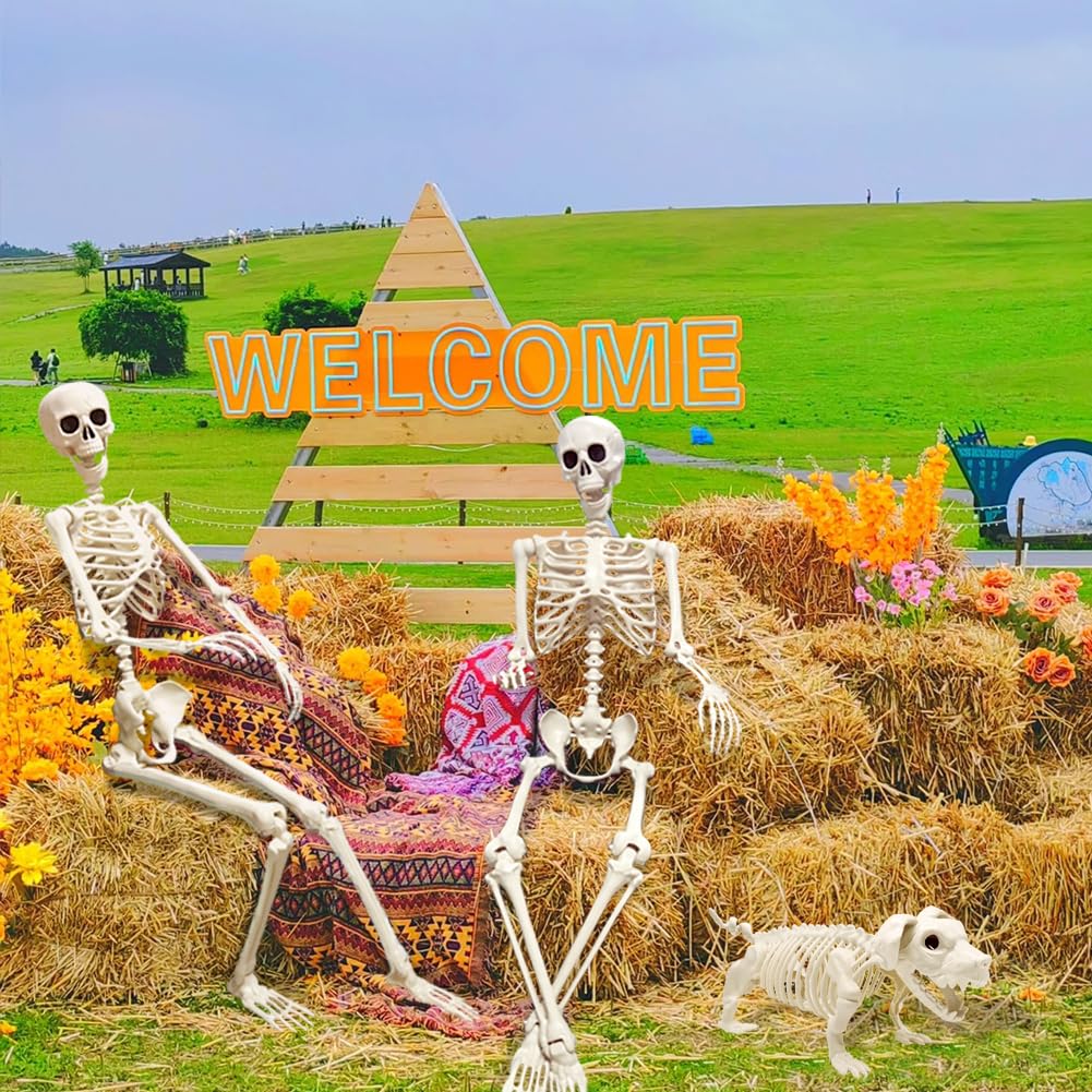 UMEELR versatile skeleton display suitable for various setups