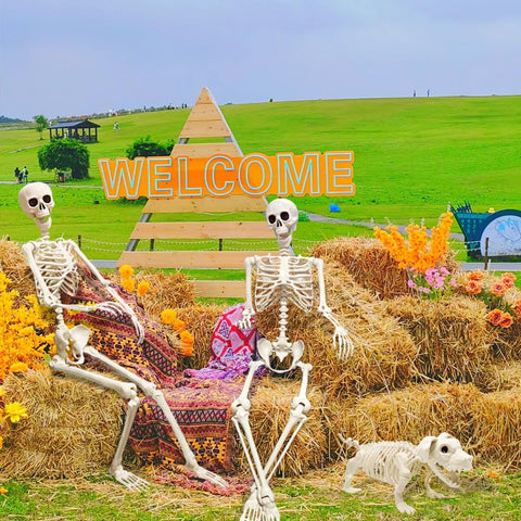 UMEELR versatile skeleton display suitable for various setups