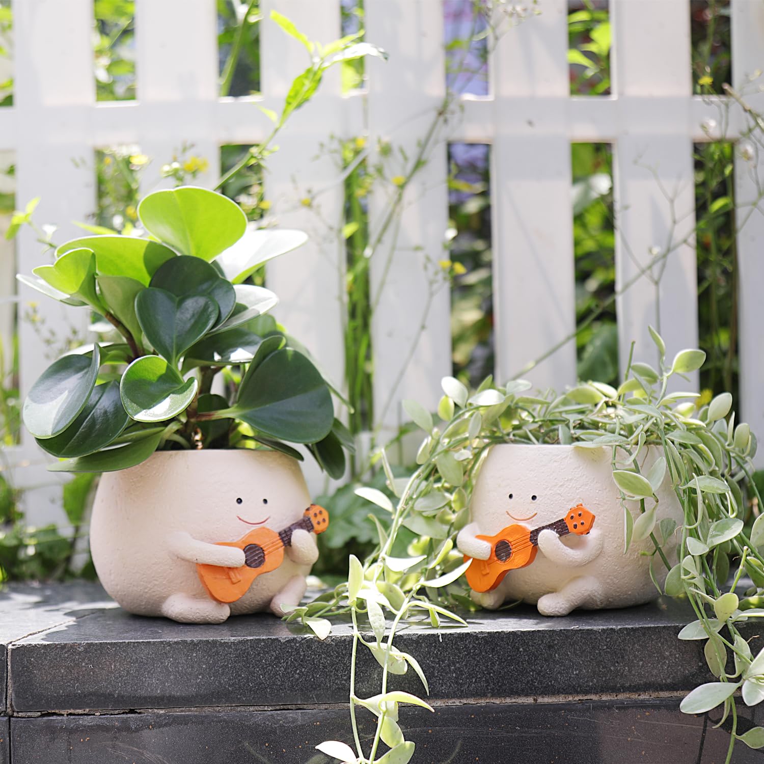 UMESONG porch display with sunny smile planter on a windowsill