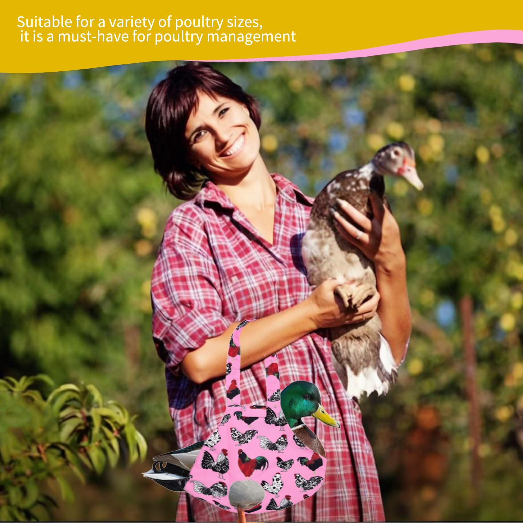 Umisun easy-clean chicken bag simplifies post-transport cleanup