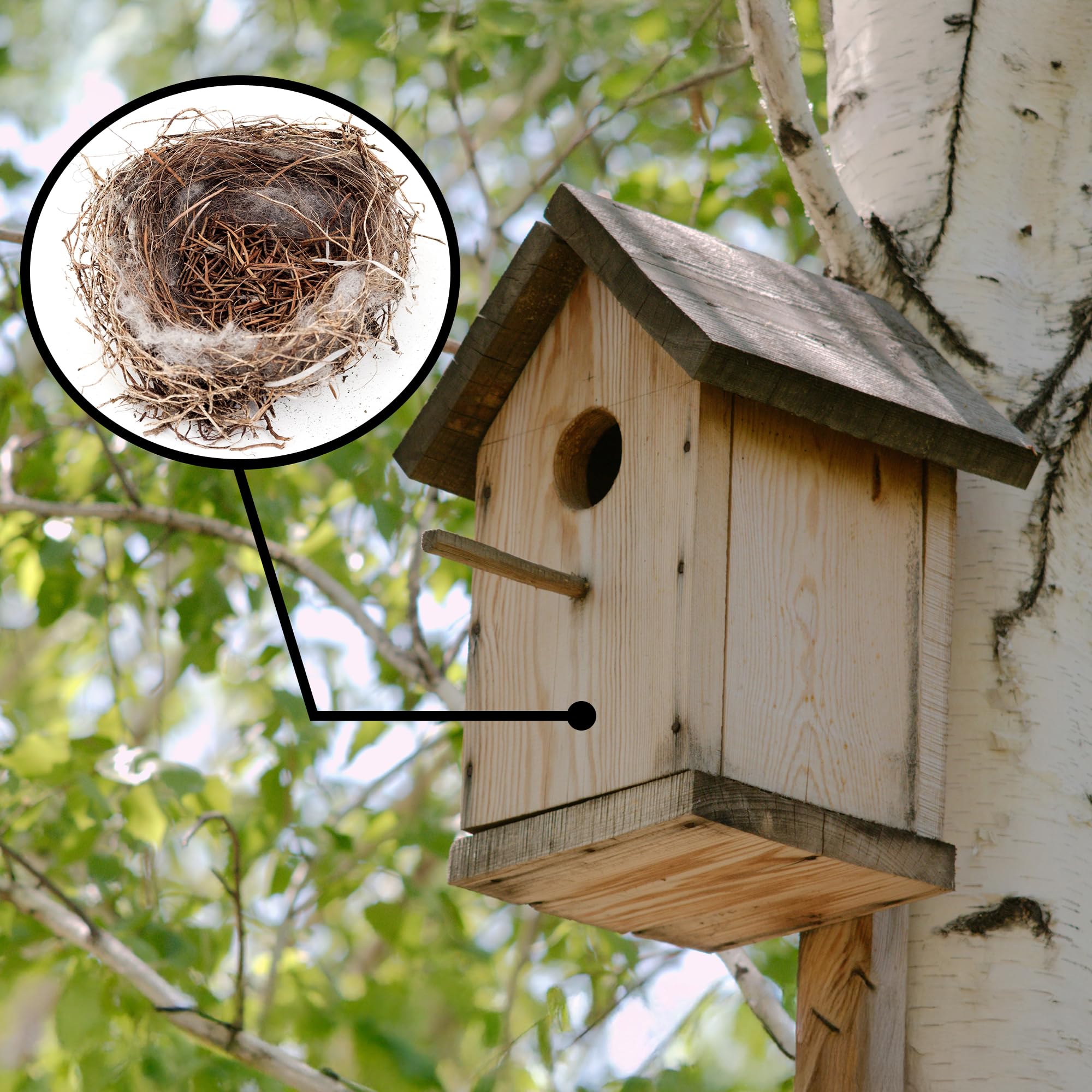 Uncle Dunkels backyard hummingbird nester compatible refill demonstrates natural fiber use.