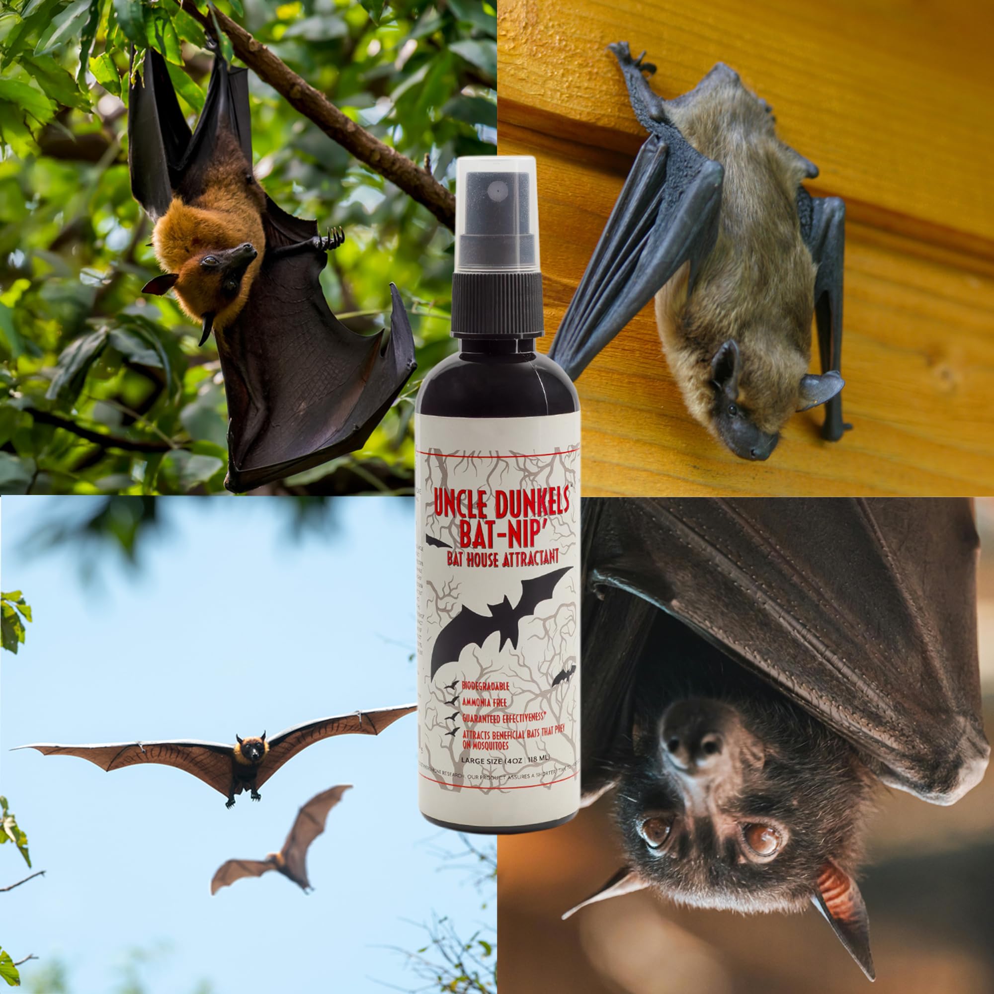 Uncle Dunkels Bat-Nip' Spray applied at the lower entrance to invite roosting.