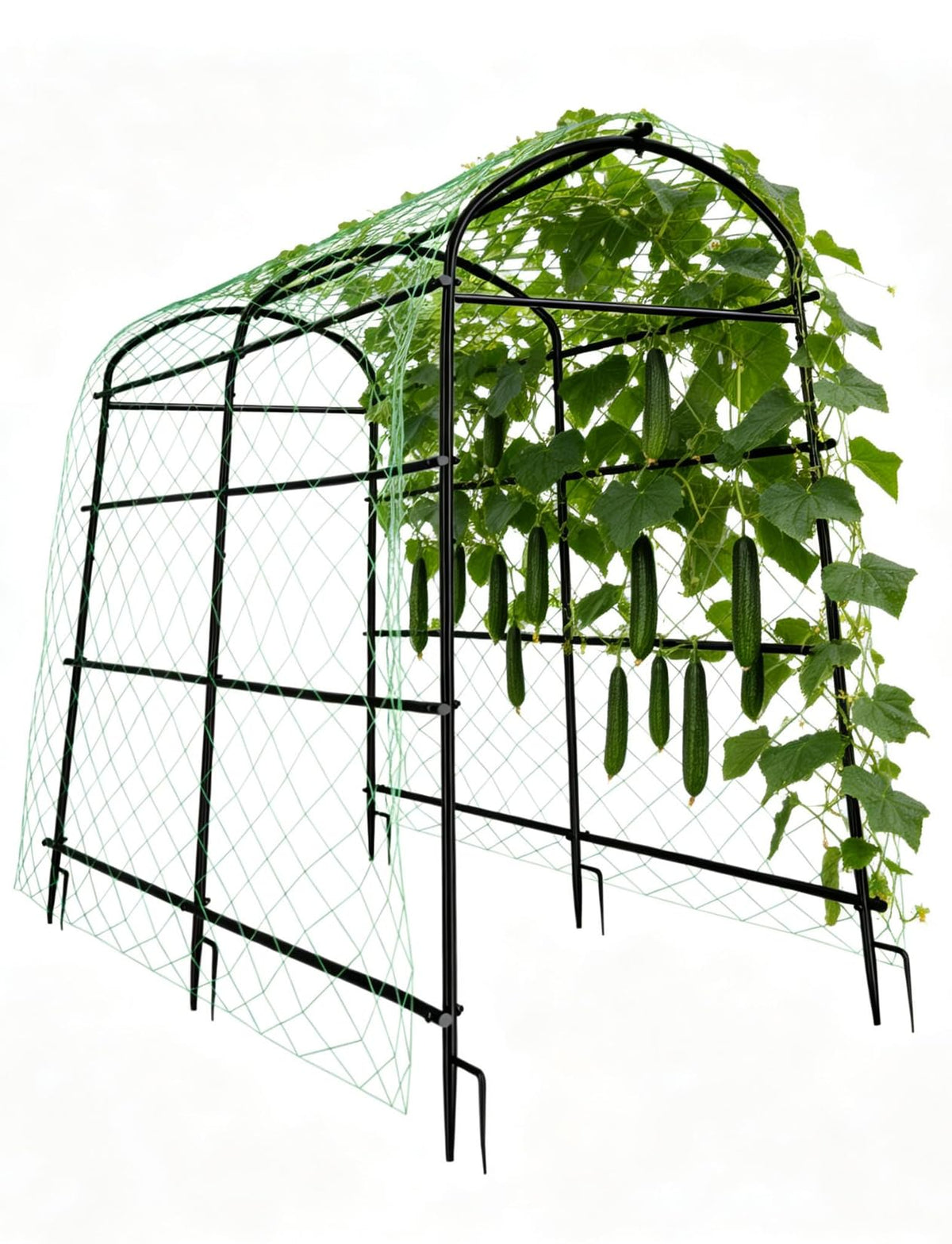 Unho Garden Trellis Arch 7.2ft front view shows vertical climbing support