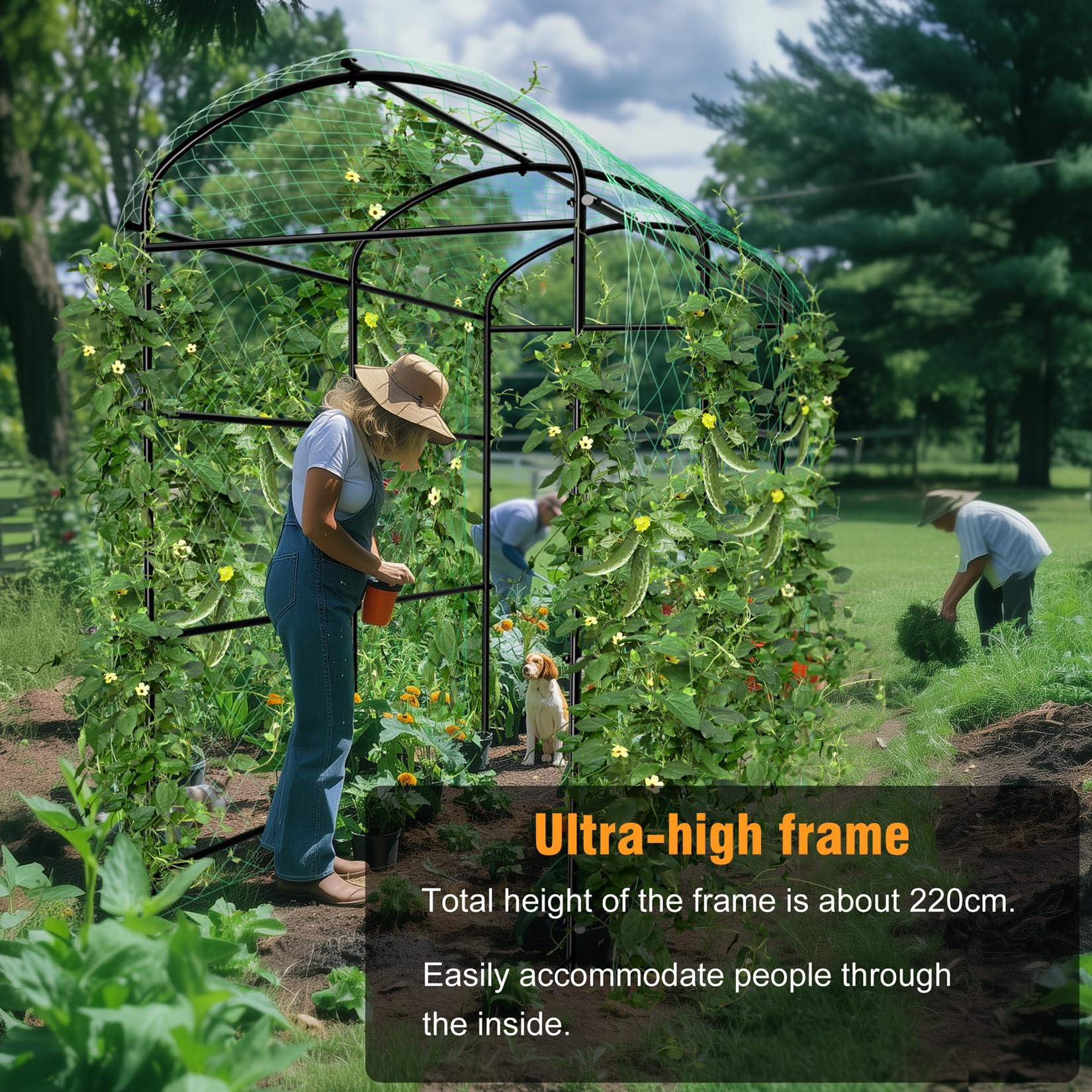 Unho Garden Trellis Arch 7.2ft adds visual appeal to outdoor garden