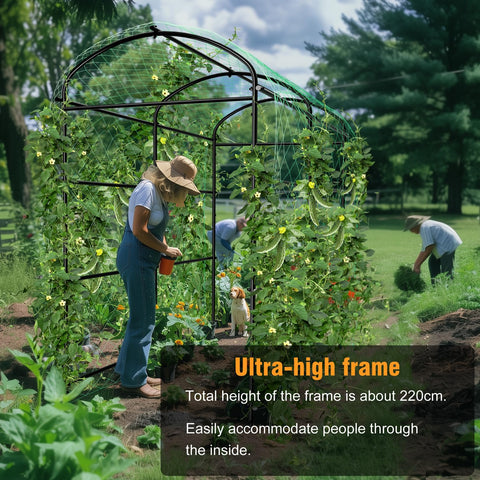 Unho Garden Trellis Arch 7.2ft adds visual appeal to outdoor garden