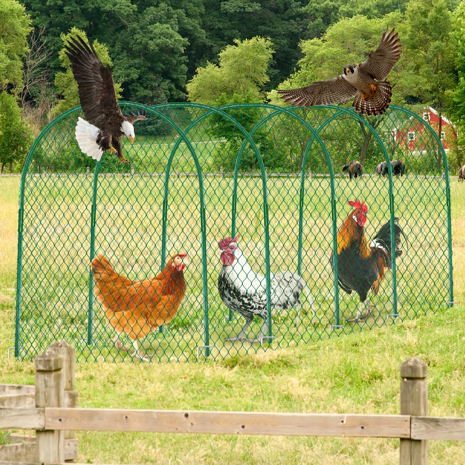 UNIFAMILY Chicken Tunnel helps protect gardens, chickens and yard from free-ranging threats.