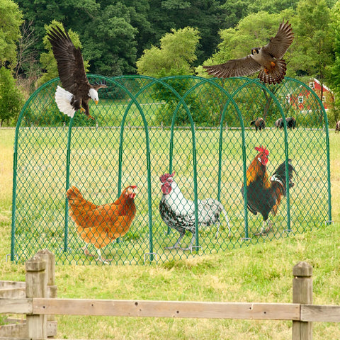 UNIFAMILY Chicken Tunnel helps protect gardens, chickens and yard from free-ranging threats.