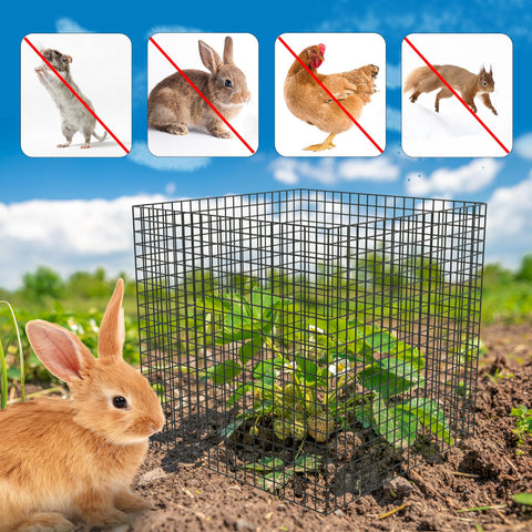 UNIFAMILY expandable nets cover larger plants while preserving airflow.