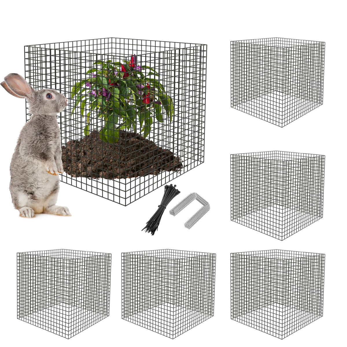 UNIFAMILY plant protector mesh guards roses against small animals while promoting blooms.