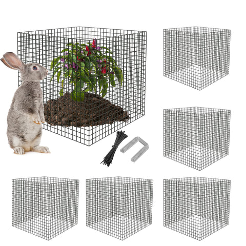 UNIFAMILY plant protector mesh guards roses against small animals while promoting blooms.